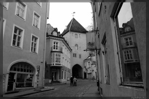 Tallin